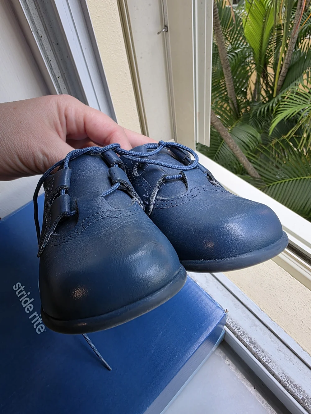 Spanish Kids Navy Blue Leather Lace-Up Shoes